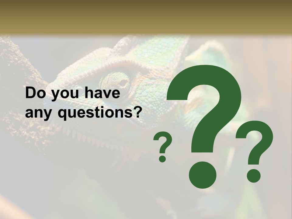 Looking Camouflage Careless PowerPoint Template