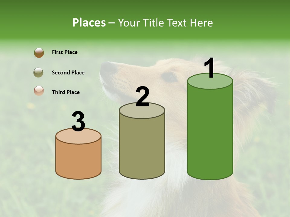 Canine Dog Sheepdog PowerPoint Template