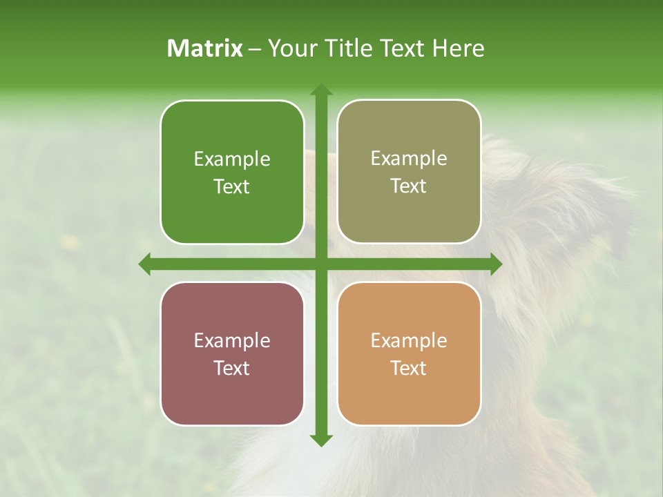 Canine Dog Sheepdog PowerPoint Template