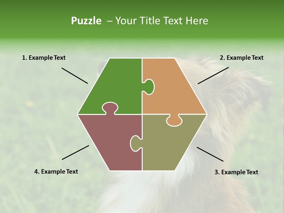 Canine Dog Sheepdog PowerPoint Template