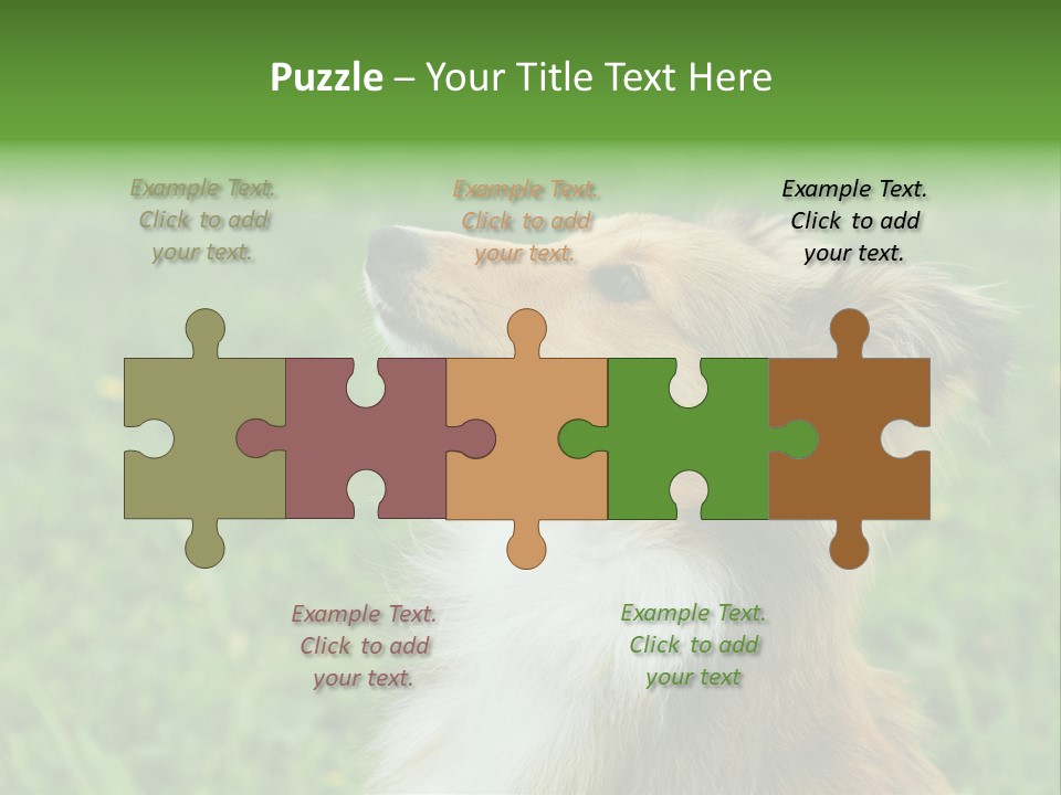 Canine Dog Sheepdog PowerPoint Template
