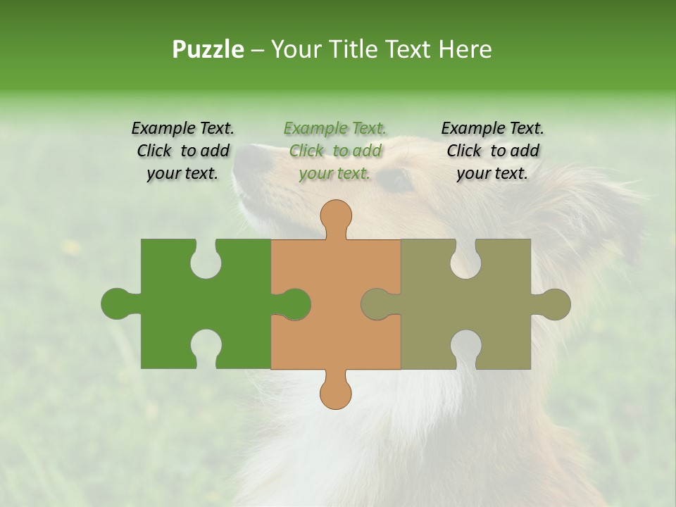 Canine Dog Sheepdog PowerPoint Template