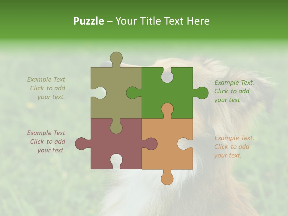Canine Dog Sheepdog PowerPoint Template