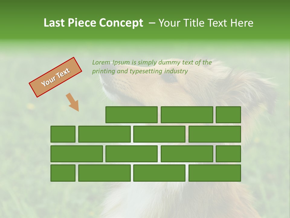 Canine Dog Sheepdog PowerPoint Template