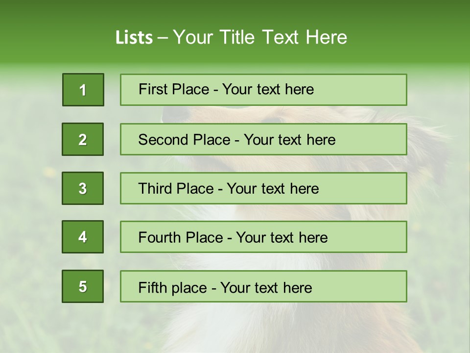 Canine Dog Sheepdog PowerPoint Template