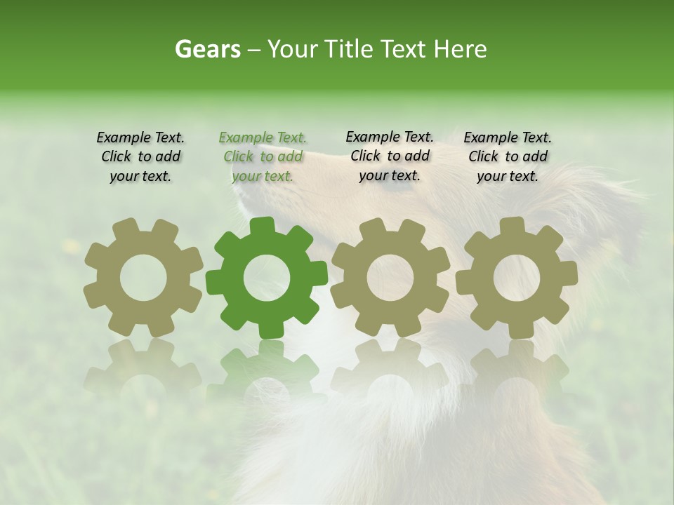 Canine Dog Sheepdog PowerPoint Template