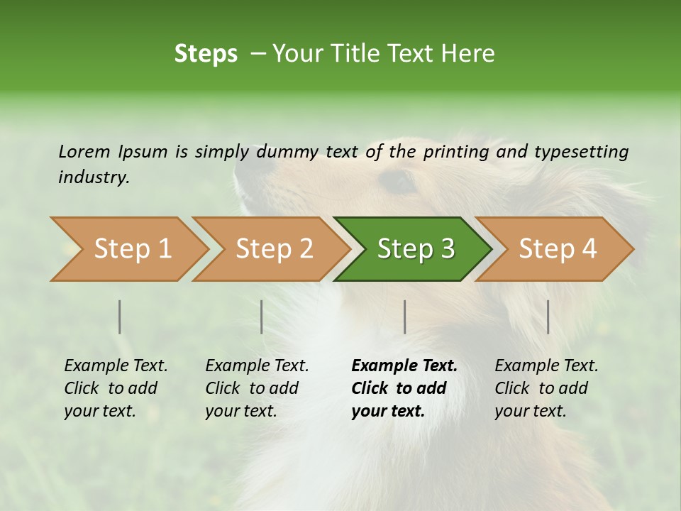Canine Dog Sheepdog PowerPoint Template