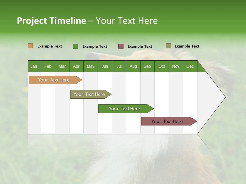 Canine Dog Sheepdog PowerPoint Template