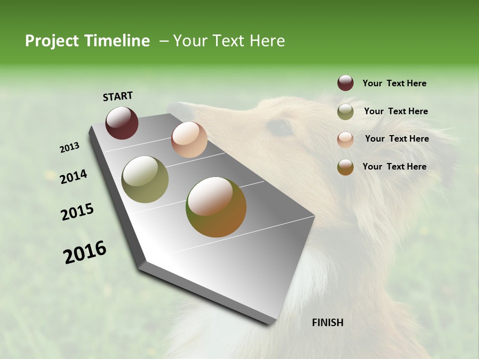 Canine Dog Sheepdog PowerPoint Template
