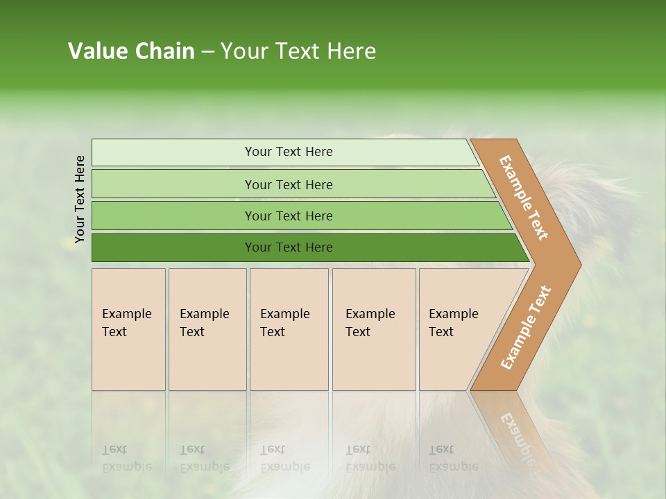 Canine Dog Sheepdog PowerPoint Template