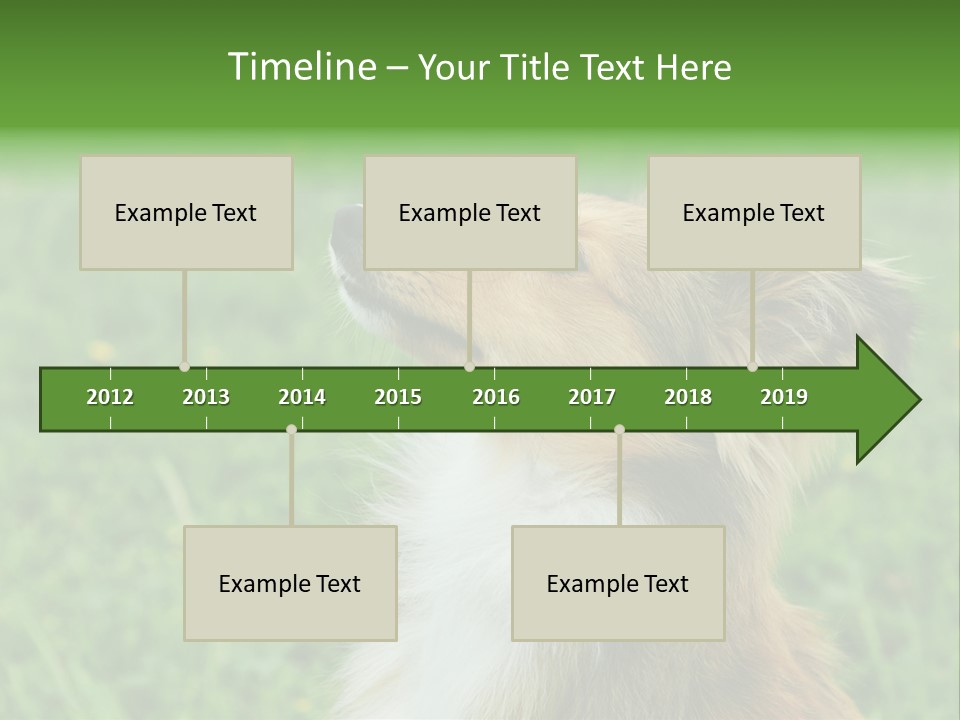 Canine Dog Sheepdog PowerPoint Template