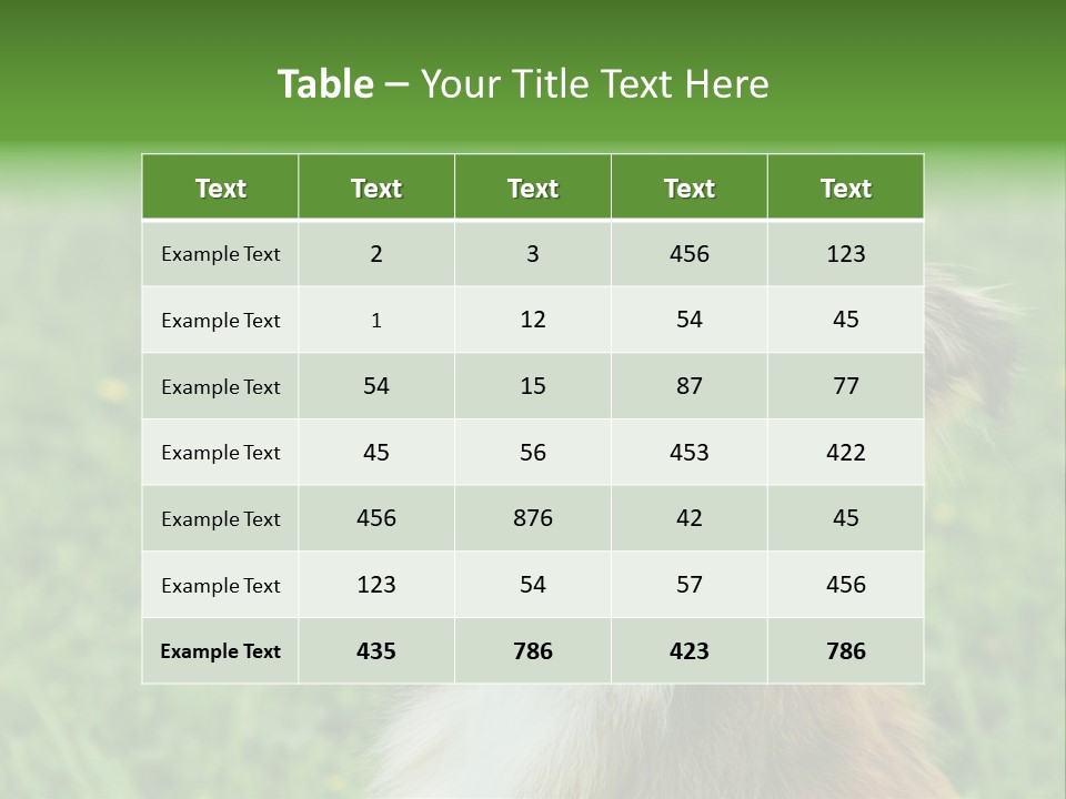 Canine Dog Sheepdog PowerPoint Template