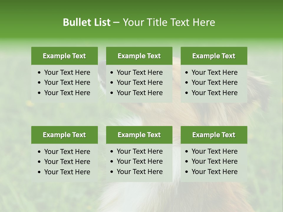 Canine Dog Sheepdog PowerPoint Template