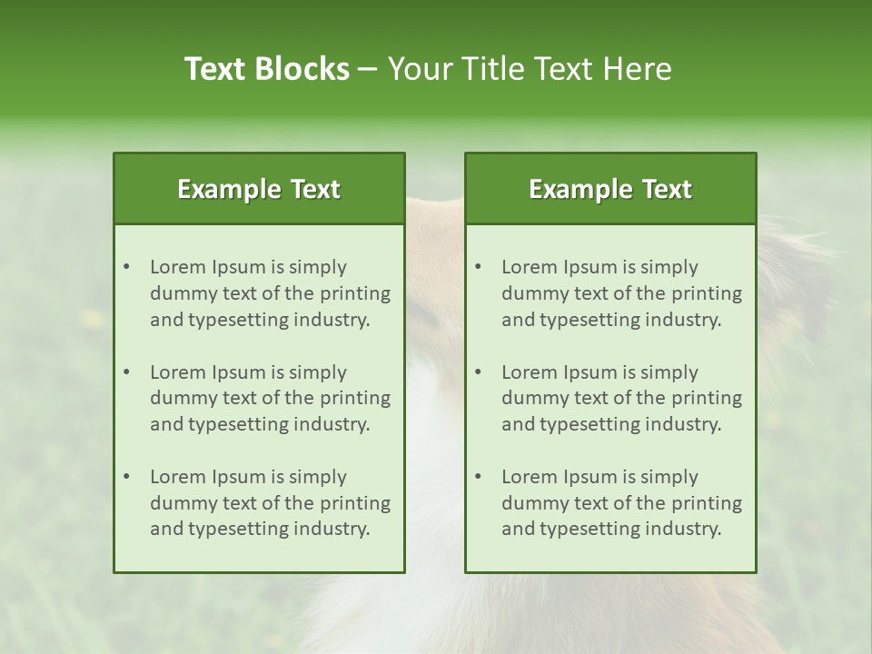 Canine Dog Sheepdog PowerPoint Template