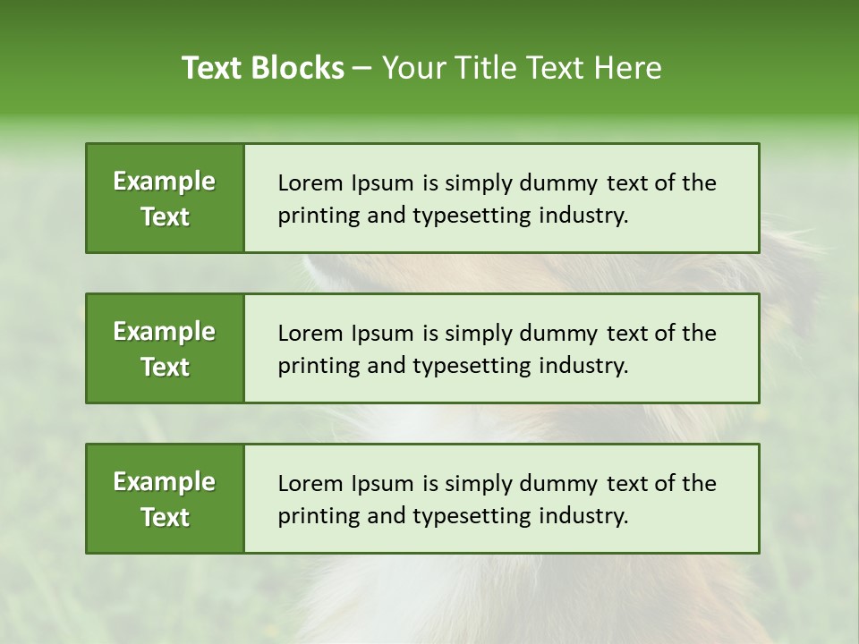 Canine Dog Sheepdog PowerPoint Template