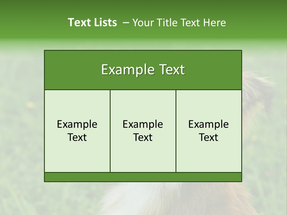 Canine Dog Sheepdog PowerPoint Template