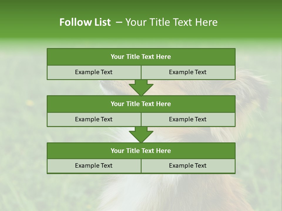 Canine Dog Sheepdog PowerPoint Template