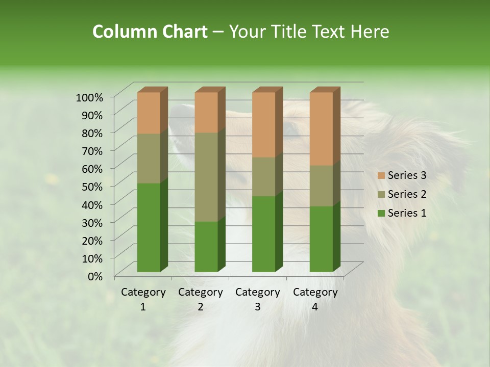 Canine Dog Sheepdog PowerPoint Template