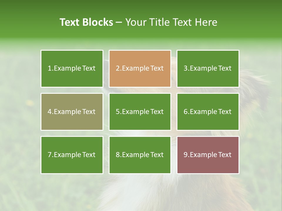 Canine Dog Sheepdog PowerPoint Template