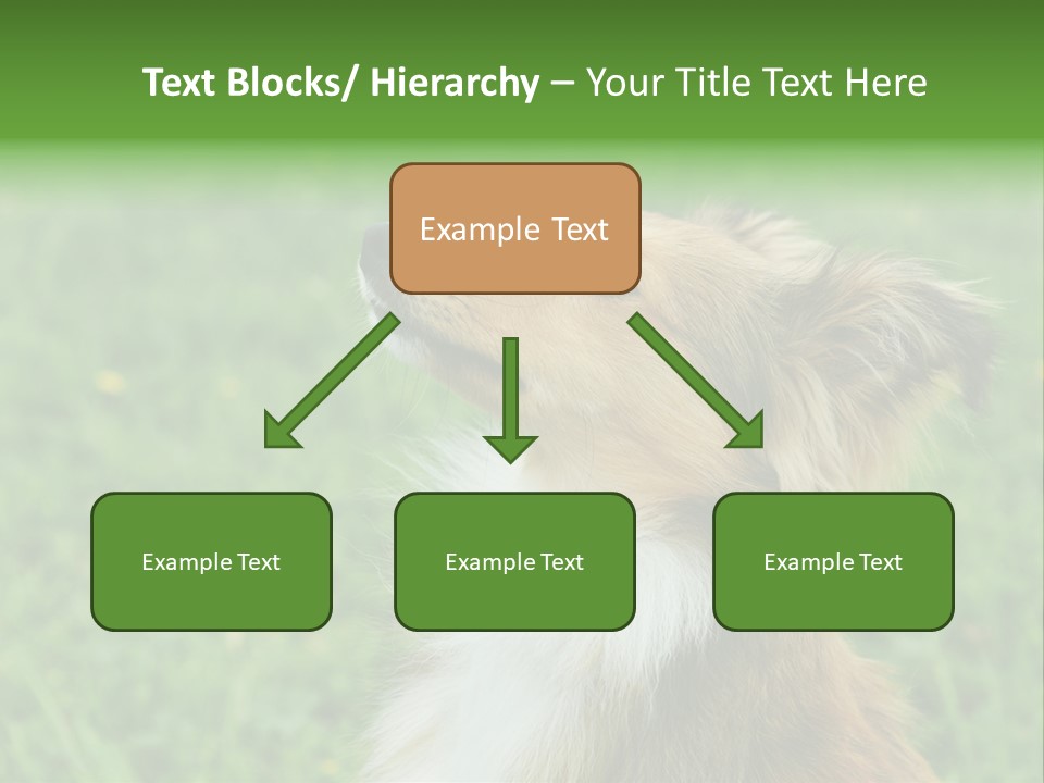 Canine Dog Sheepdog PowerPoint Template