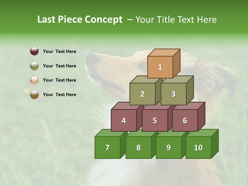 Canine Dog Sheepdog PowerPoint Template