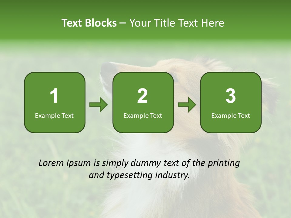 Canine Dog Sheepdog PowerPoint Template