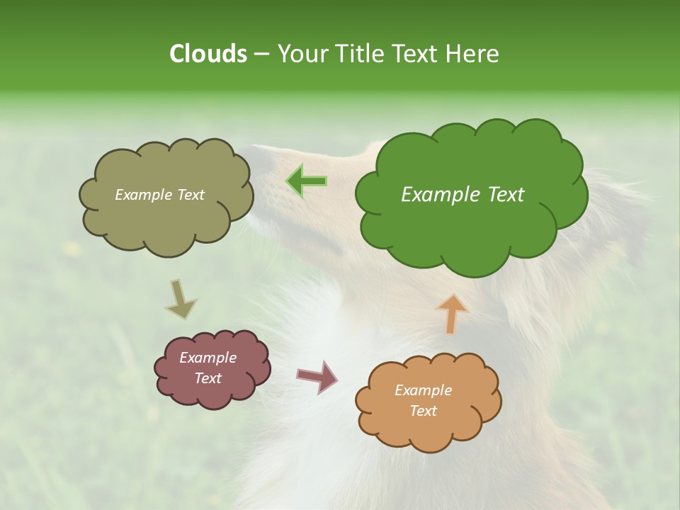 Canine Dog Sheepdog PowerPoint Template
