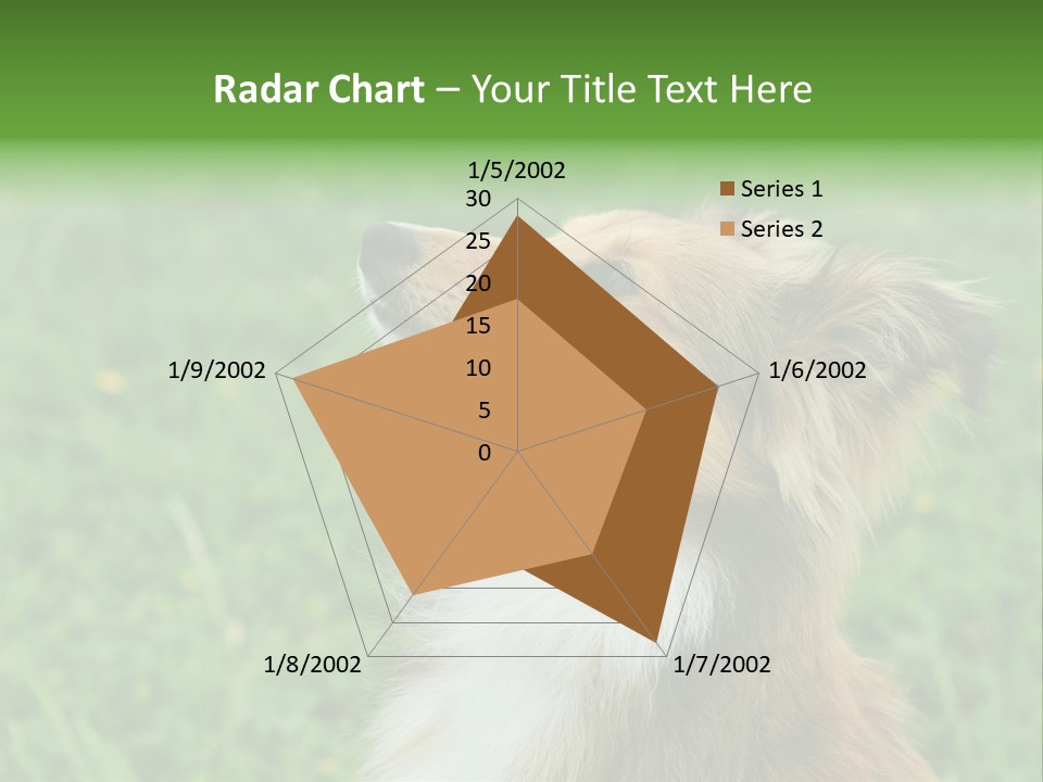 Canine Dog Sheepdog PowerPoint Template
