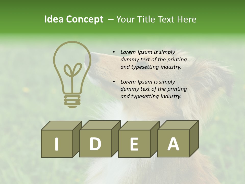 Canine Dog Sheepdog PowerPoint Template