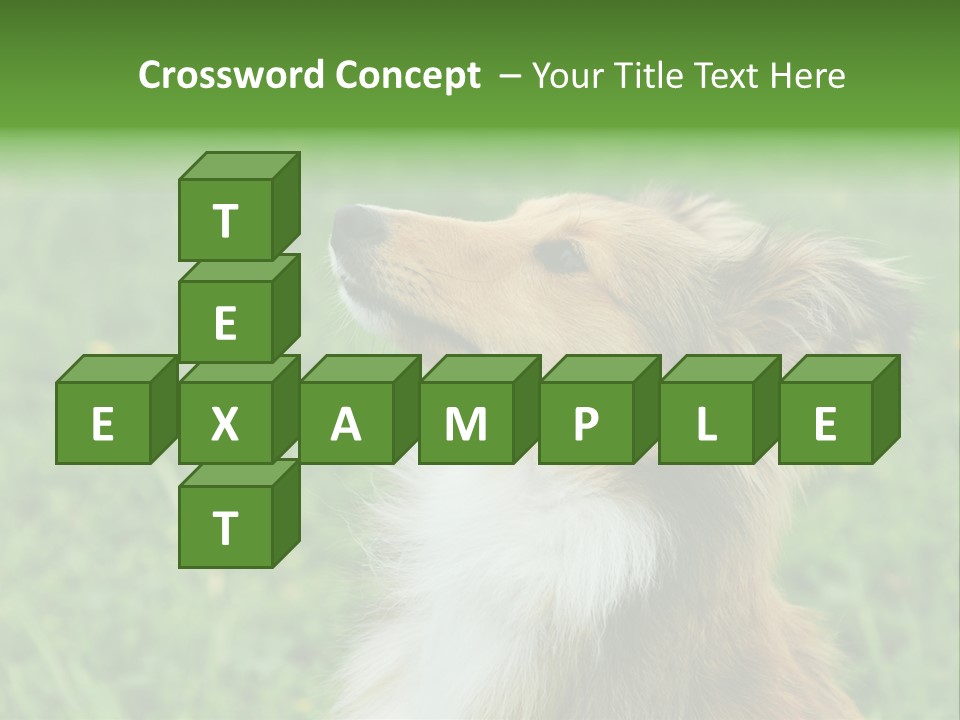 Canine Dog Sheepdog PowerPoint Template