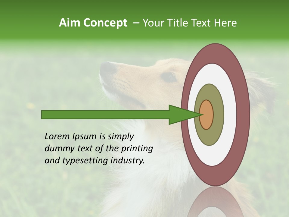 Canine Dog Sheepdog PowerPoint Template
