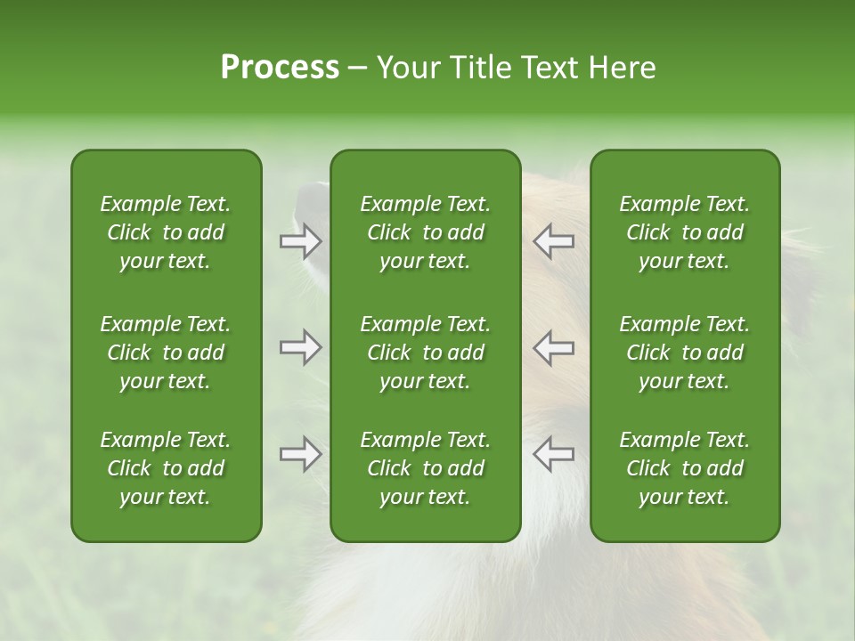 Canine Dog Sheepdog PowerPoint Template