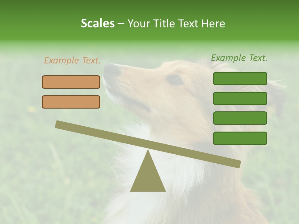 Canine Dog Sheepdog PowerPoint Template