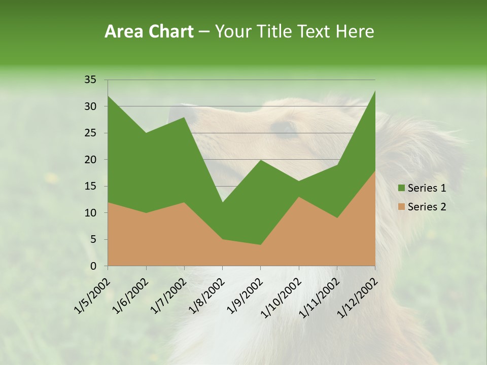 Canine Dog Sheepdog PowerPoint Template