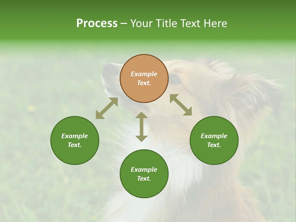 Canine Dog Sheepdog PowerPoint Template