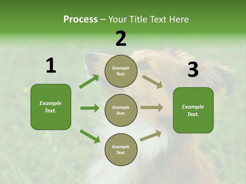 Canine Dog Sheepdog PowerPoint Template