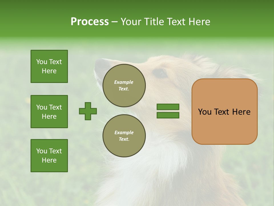 Canine Dog Sheepdog PowerPoint Template