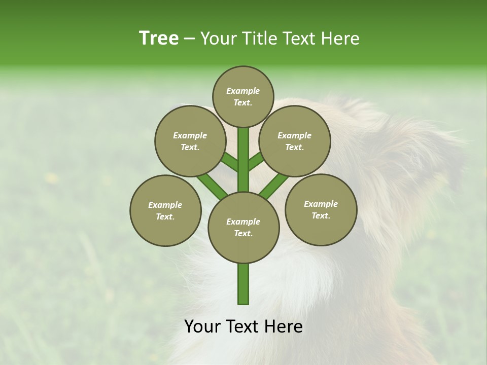 Canine Dog Sheepdog PowerPoint Template