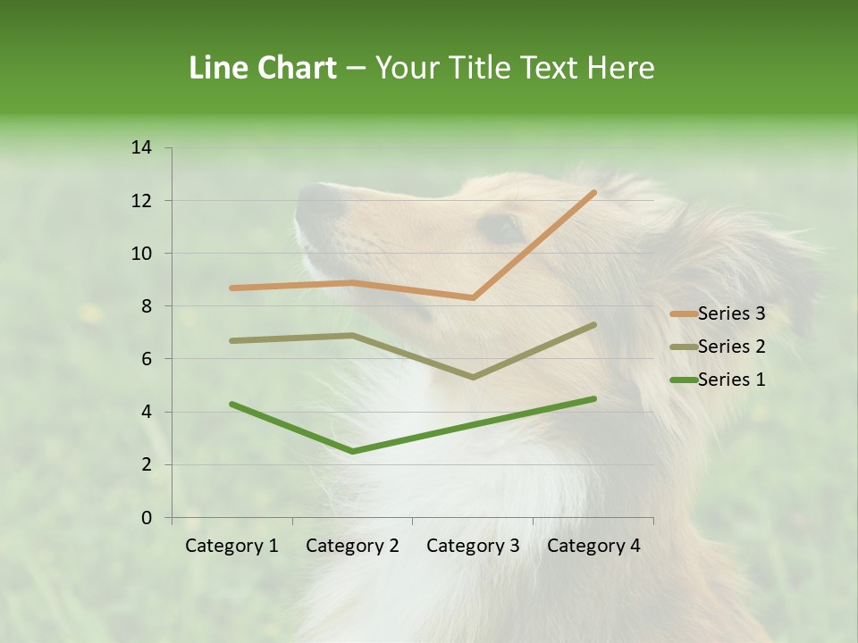 Canine Dog Sheepdog PowerPoint Template