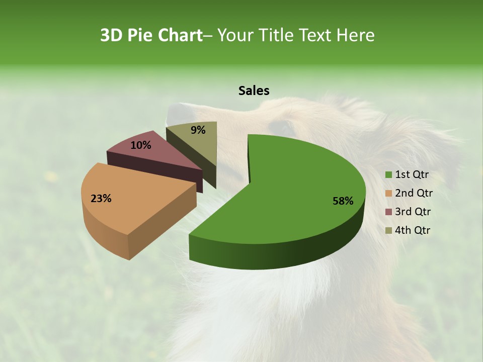 Canine Dog Sheepdog PowerPoint Template