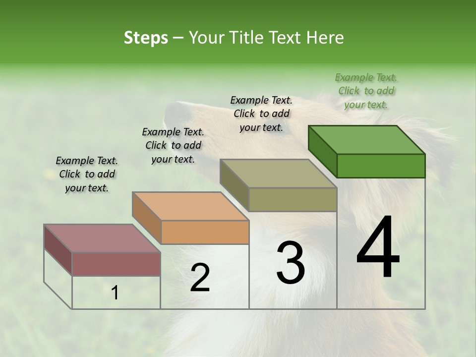 Canine Dog Sheepdog PowerPoint Template