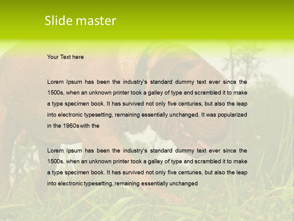 Mammal Sniff Looking PowerPoint Template