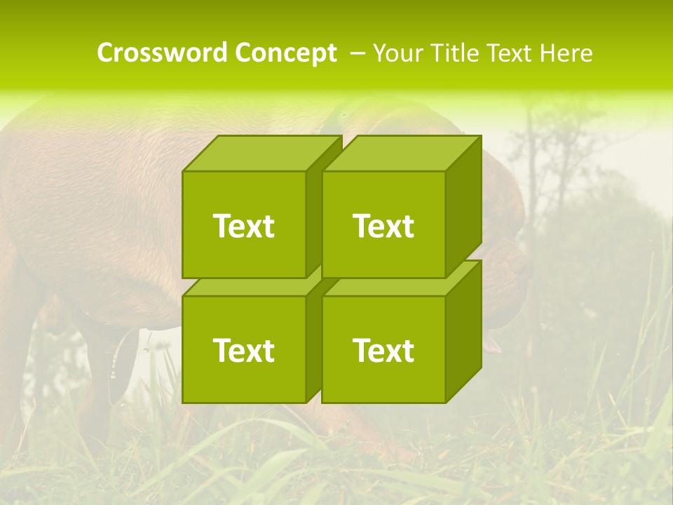Mammal Sniff Looking PowerPoint Template
