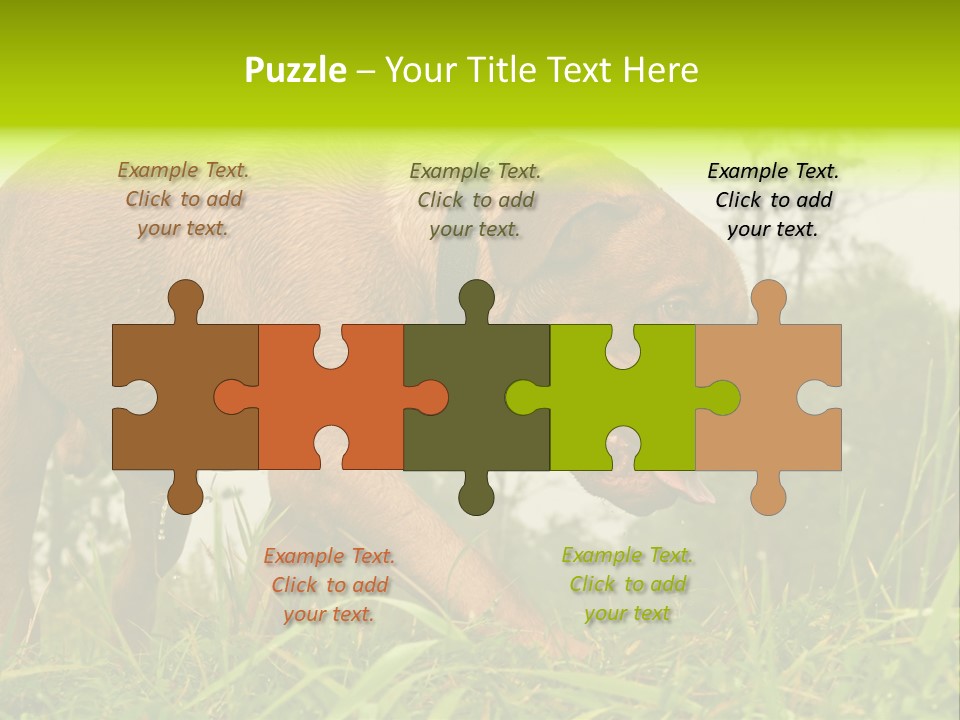 Mammal Sniff Looking PowerPoint Template