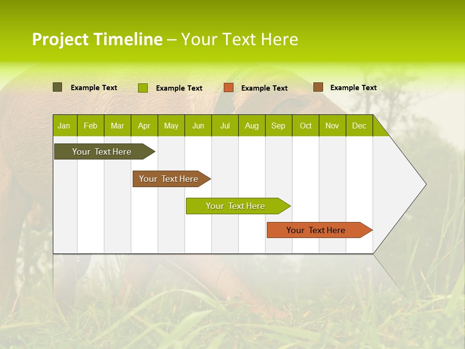 Mammal Sniff Looking PowerPoint Template