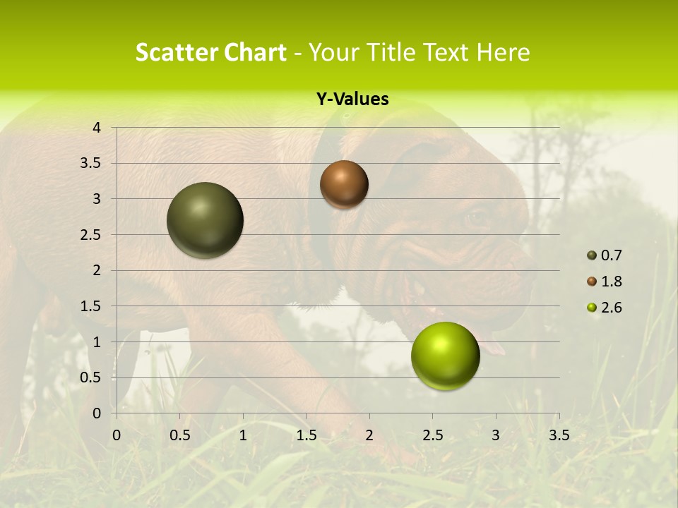 Mammal Sniff Looking PowerPoint Template