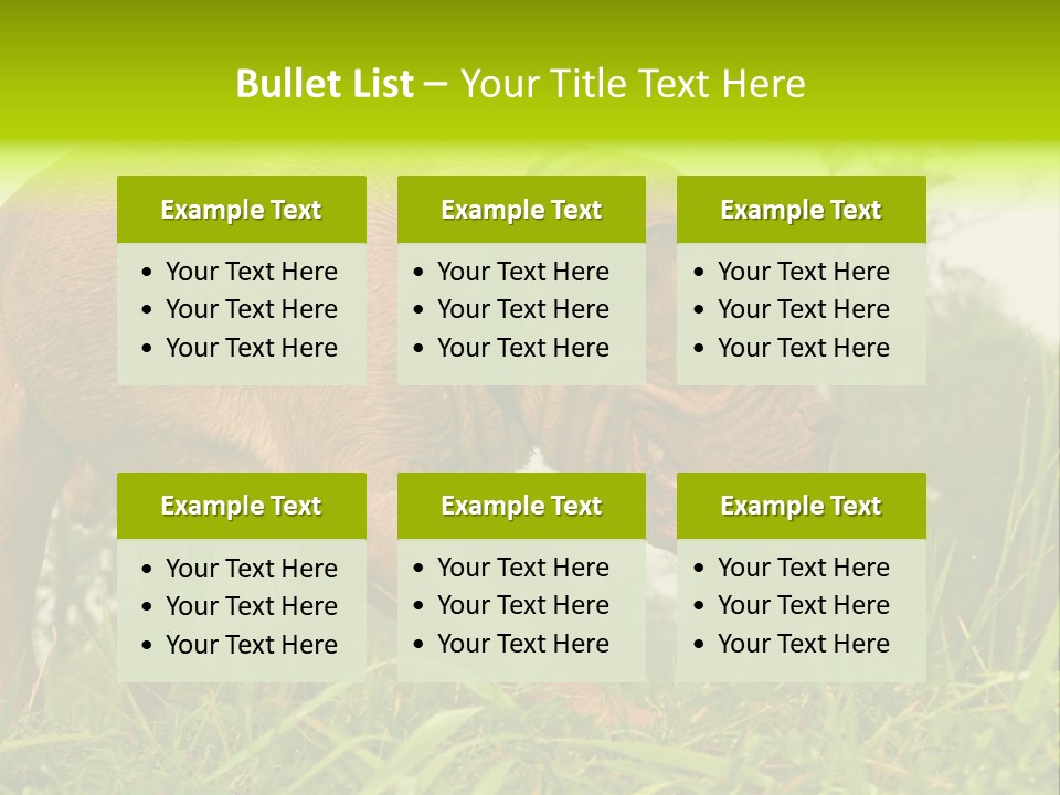 Mammal Sniff Looking PowerPoint Template