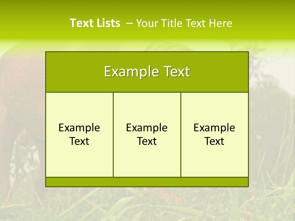 Mammal Sniff Looking PowerPoint Template