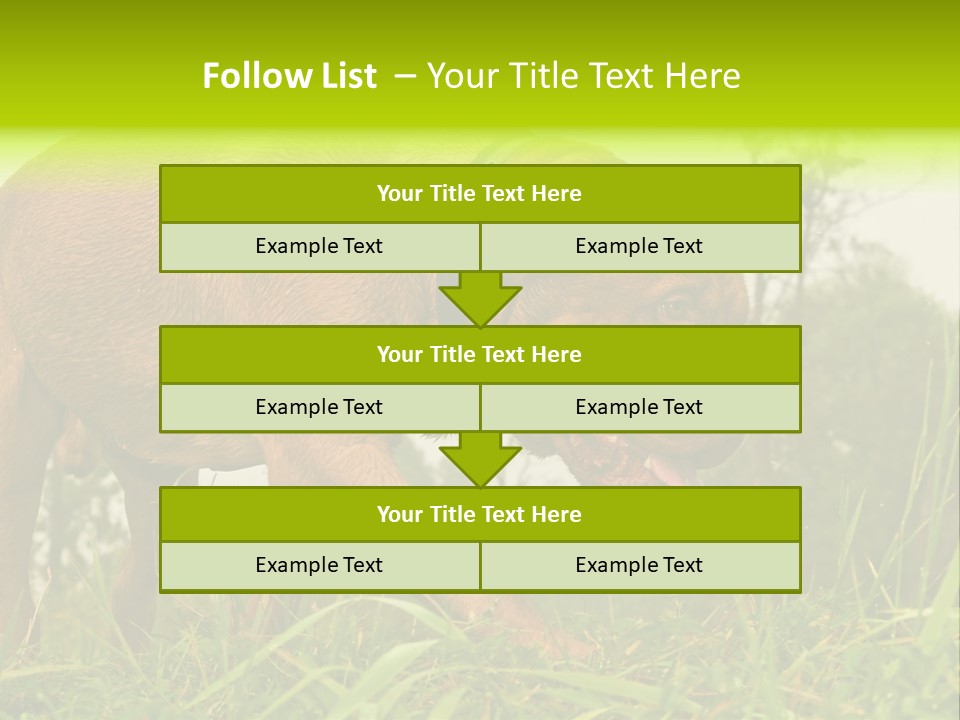 Mammal Sniff Looking PowerPoint Template