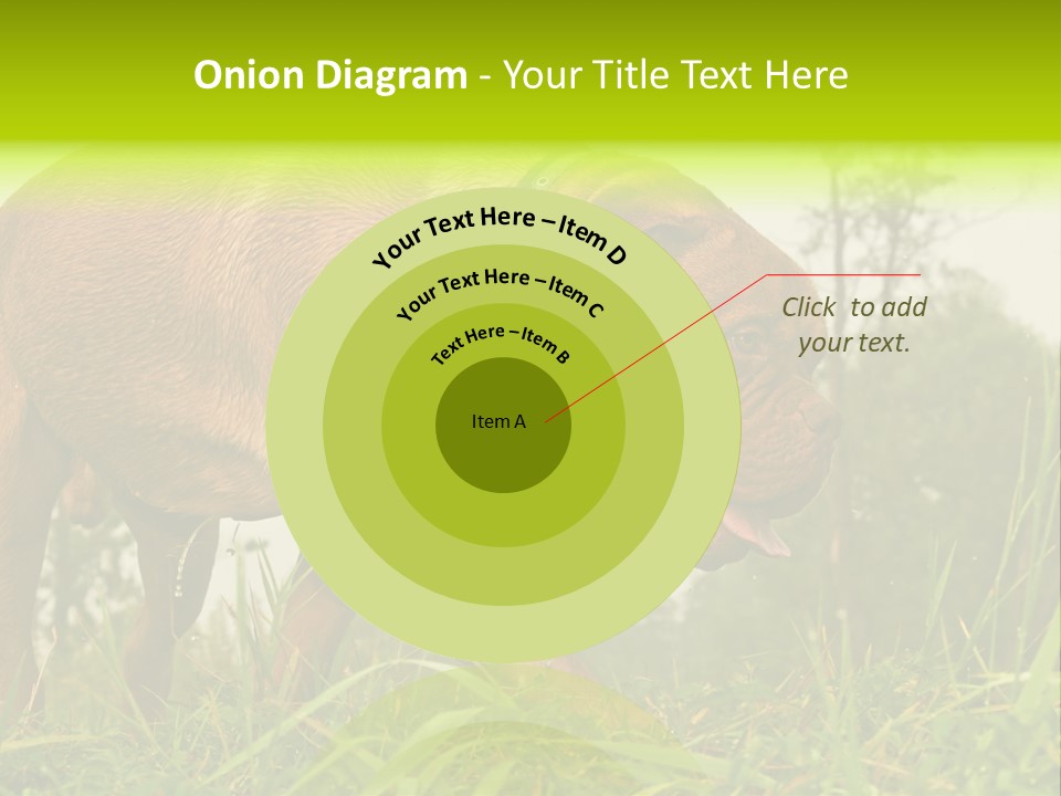 Mammal Sniff Looking PowerPoint Template